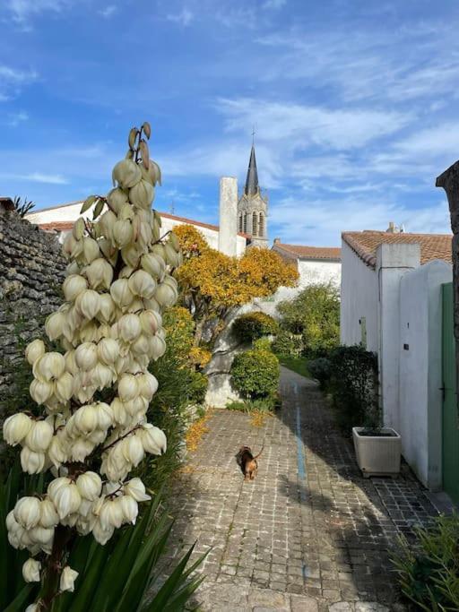 Maison De Charme A La Couarde-Sur-Mer Esterno foto